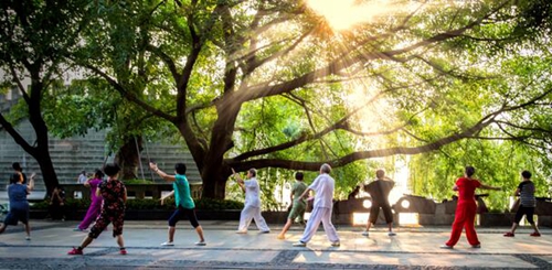 出門(mén)又見(jiàn)綠！瀘州明年將新建4座小游園(圖1)