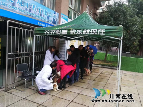 龍馬潭區(qū)紅星街道929只寵物貓狗享受免費(fèi)狂犬疫苗