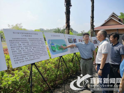 長(zhǎng)寧蜀南花海獲批全省中醫(yī)藥健康旅游示范基地(圖1)