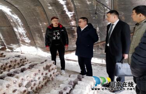 瀘縣看望慰問(wèn)南京瀘縣籍企業(yè)家和農(nóng)民工