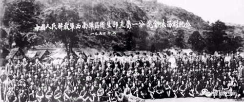 增減之間惠民顯初心 悉心守護健康擔使命(圖1)