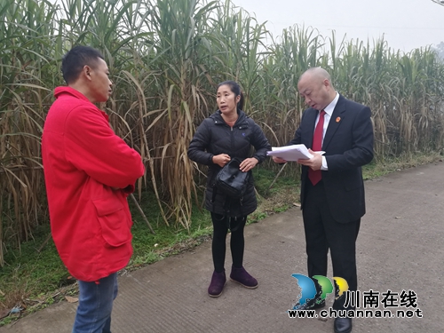 納溪法院司法大拜年：年味漸濃，看八旬翁喜開顏