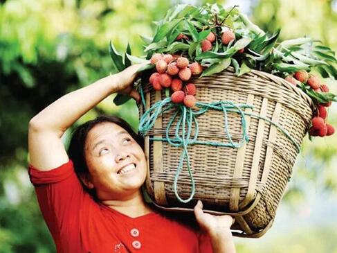 聚焦重點項目丨合江，手握鄉(xiāng)村振興“密碼”(圖5)