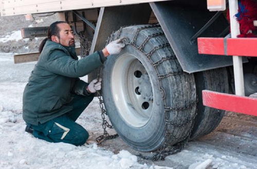 格桑花開滿天路—寫在川藏公路通車65周年之際(圖6)