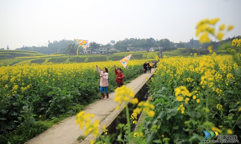 瀘州：產(chǎn)村相融成風(fēng)景 陽(yáng)春三月踏青樂(lè)(圖1)