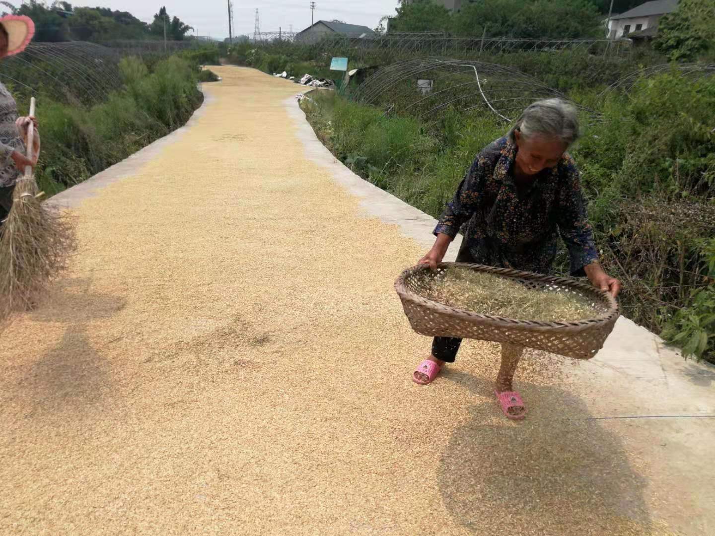 龍馬潭區(qū)小市街道志愿服務(wù)活動(dòng)踐初心(圖1)