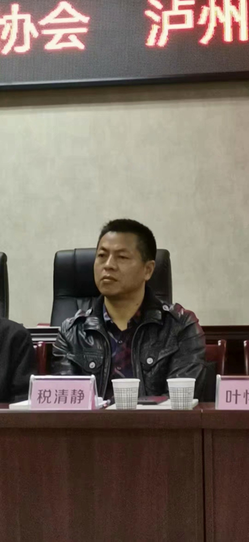 報告文學(xué)《讓夢想起飛》作品研討會在瀘州舉辦(圖3)