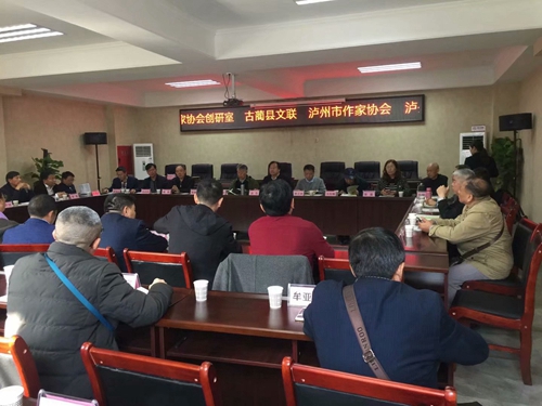 報告文學(xué)《讓夢想起飛》作品研討會在瀘州舉辦(圖6)