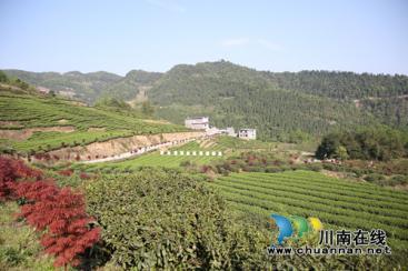 “藺沙溪”品牌創(chuàng)始人姜琳：誓讓古藺土特產(chǎn)走向全國！(圖28)