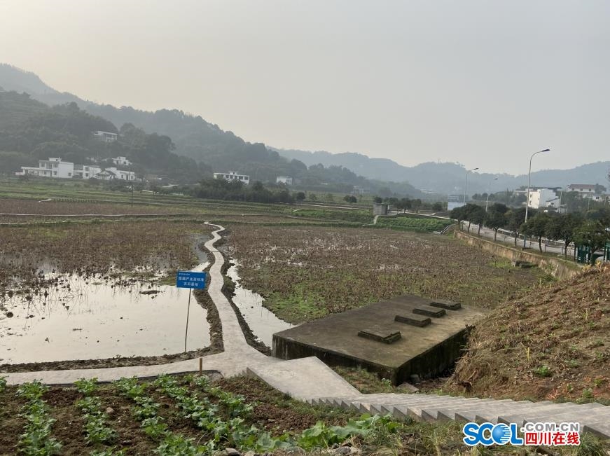 瀘州江陽區(qū)：村民黨員成化解矛盾的“手”(圖2)