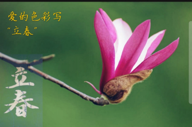 春回大地新，以微薄之力續(xù)戰(zhàn)“疫”