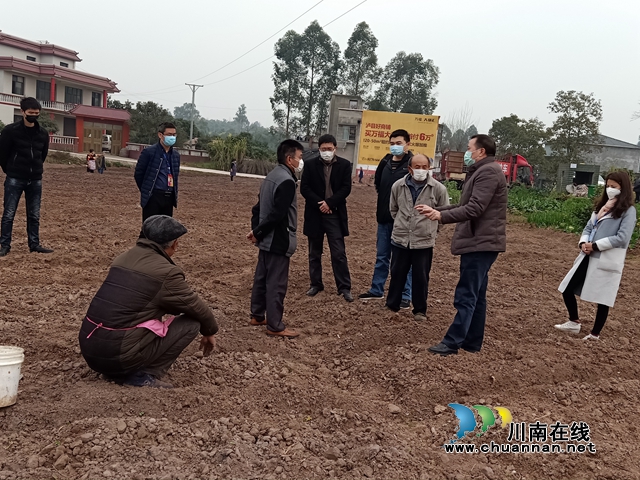 瀘縣農(nóng)業(yè)農(nóng)村局到潮河鎮(zhèn)指導大春生產(chǎn)工作