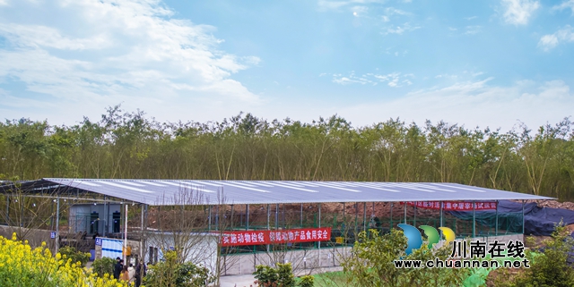 龍馬潭區(qū)臨時活禽集中屠宰場建成投用 日屠宰量達(dá)5000余只(圖2)