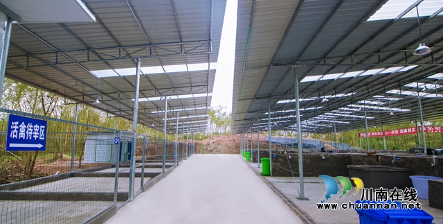 龍馬潭區(qū)臨時活禽集中屠宰場建成投用 日屠宰量達(dá)5000余只(圖3)