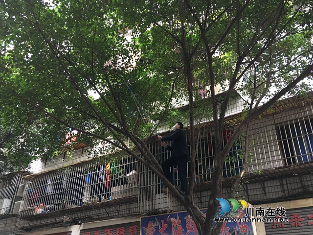 江陽區(qū)北城街道：彩鋼棚飛成隱患，社區(qū)出面忙排除