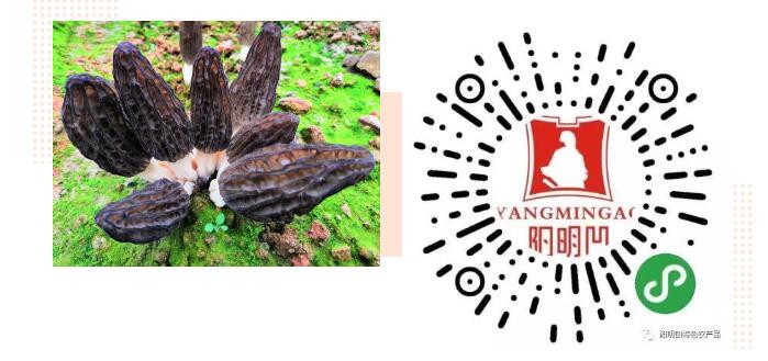 求助！辣椒秧秧、甜橙……瀘州這些農(nóng)特產(chǎn)品滯銷 ，村民們焦得很(圖6)