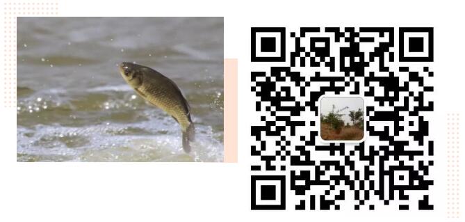 求助！辣椒秧秧、甜橙……瀘州這些農(nóng)特產(chǎn)品滯銷 ，村民們焦得很(圖8)