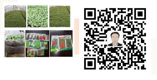 求助！辣椒秧秧、甜橙……瀘州這些農(nóng)特產(chǎn)品滯銷 ，村民們焦得很(圖12)