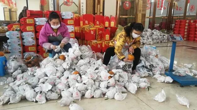 痛心！宜賓這里百萬斤柑橘滯銷！“求帶走！”(圖9)