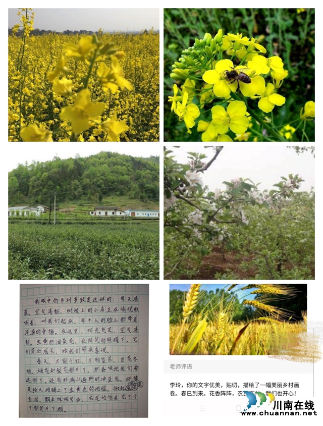瀘縣城北小學校教師龐華：溫暖的“百變超人”(圖4)