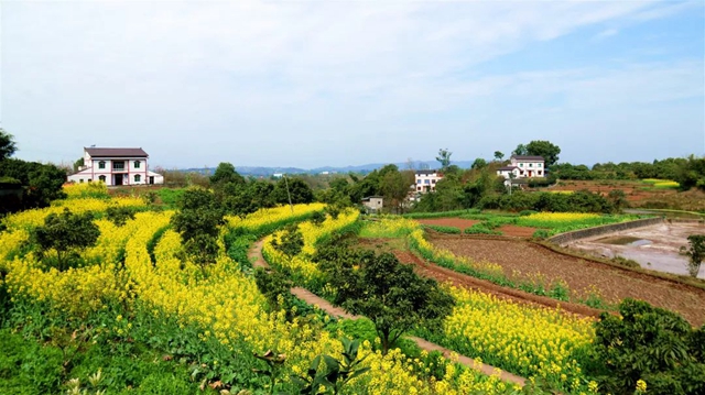 再訪雙加，悲傷而艱難地自愈(圖2)