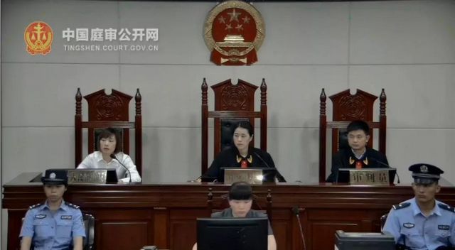 龍馬潭區(qū)法院自貿(mào)區(qū)法庭| 涉外民商事審判，Ta真的來了！(圖3)