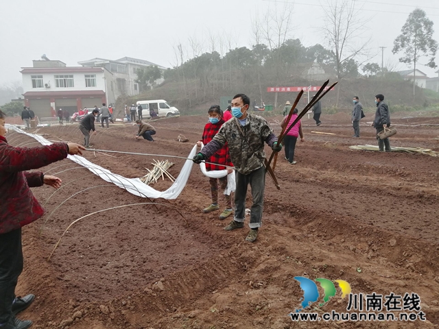 瀘縣潮河鎮(zhèn)：二月春耕忙，播種新希望(圖2)