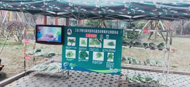 方便！無人售賣蔬菜進入宜賓這個小區(qū)了！全程自助式購買！