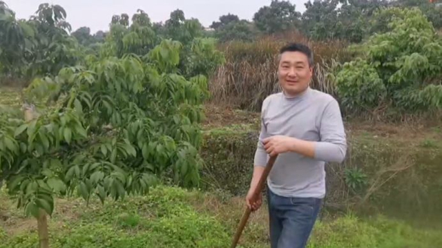 合江荔農(nóng)：不負春光勤勞作，守望七月荔枝紅(圖4)