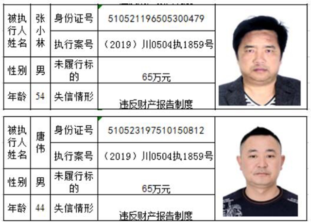 老賴哪里跑！瀘州市龍馬潭區(qū)人民法院曝光2020年第一批失信名單(圖21)