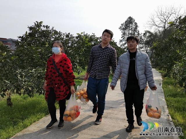 瀘縣龍馬祠專業(yè)合作社邀請(qǐng)你品嘗果子購(gòu)買苗子