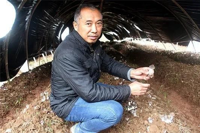 納溪白節(jié)張治國：大球蓋菇外銷受阻　加工存儲止損