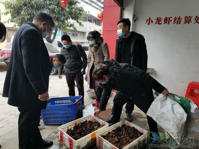  瀘縣：小小龍蝦身價(jià)高 脫貧增收好幫手(圖2)