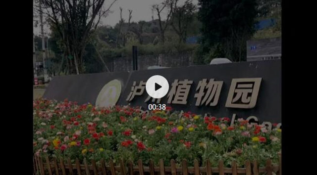 每日限500人次 ，瀘州植物園恢復(fù)開園！(圖2)