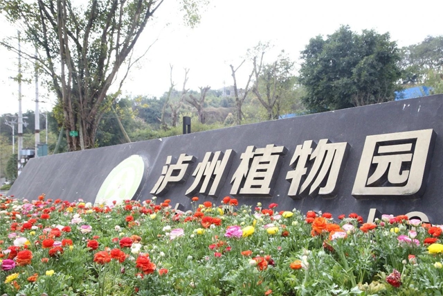 每日限500人次 ，瀘州植物園恢復(fù)開園！(圖1)