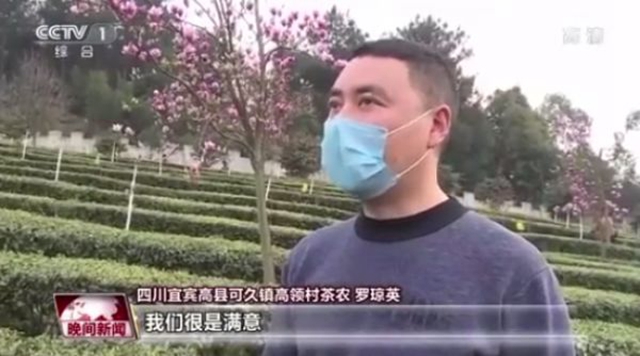 2億資金助茶農(nóng)！央視點(diǎn)贊宜賓！這些茶葉持續(xù)熱銷(xiāo)(圖4)