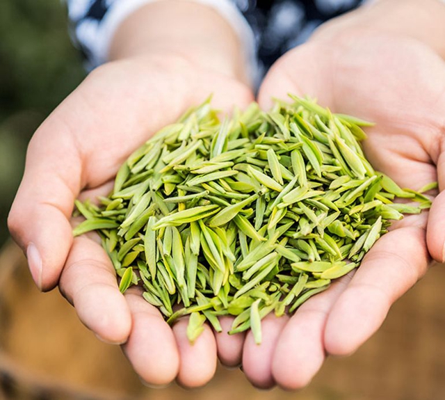 2億資金助茶農(nóng)！央視點(diǎn)贊宜賓！這些茶葉持續(xù)熱銷(xiāo)(圖5)