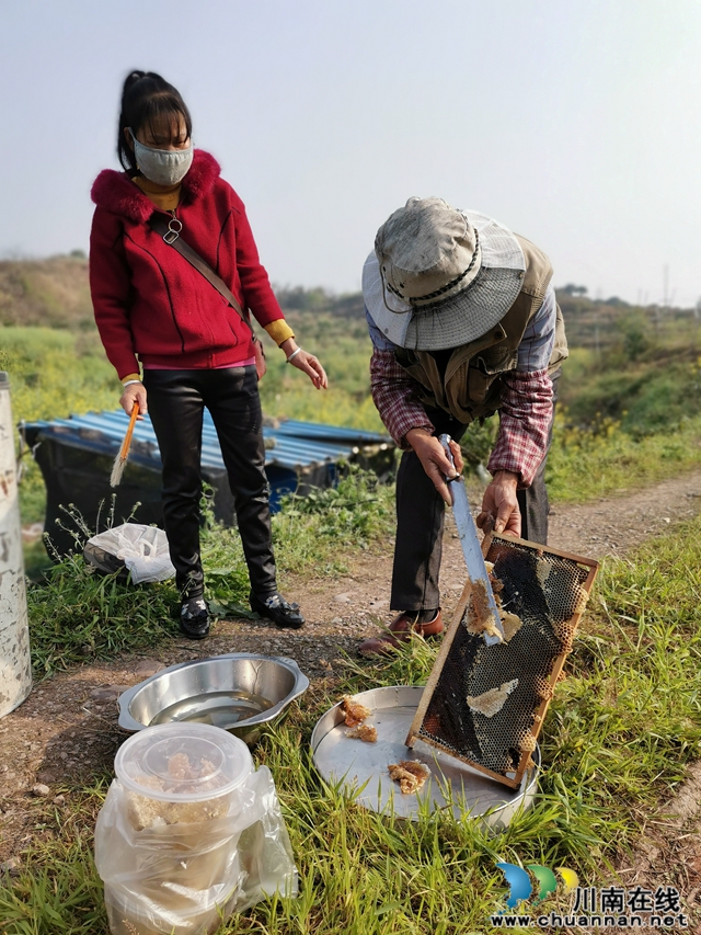 現(xiàn)采現(xiàn)賣 瀘縣利源家庭農(nóng)場的蜂蜜受追捧！(圖7)