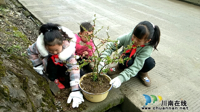 敘永縣石廂子中心校:紅領(lǐng)巾“疫”起行動(dòng)，“家庭版”植樹活動(dòng)精彩紛呈