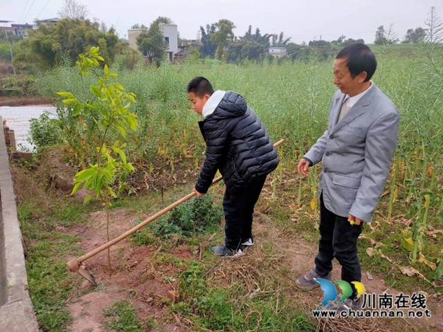 瀘縣玉蟾街道城北小學(xué)校開展2020年春季植樹節(jié)活動