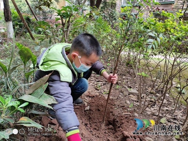 瀘縣玉蟾街道城北小學(xué)校開展2020年春季植樹節(jié)活動(dòng)(圖2)