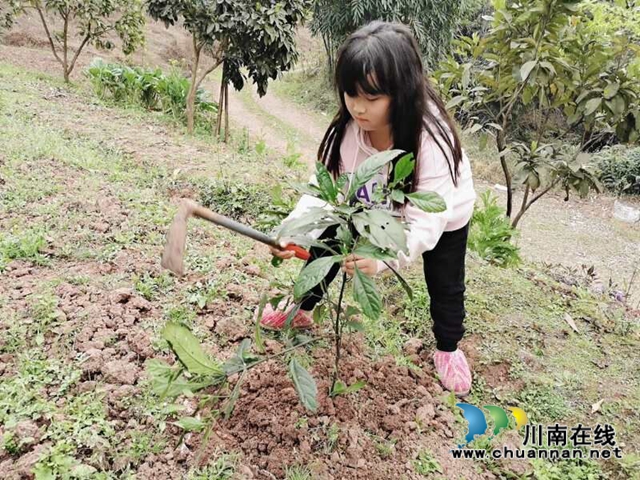 瀘縣玉蟾街道城北小學(xué)校開展2020年春季植樹節(jié)活動(dòng)(圖3)