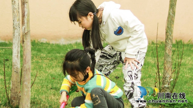 瀘縣玉蟾街道城北小學(xué)校開展2020年春季植樹節(jié)活動(dòng)(圖4)