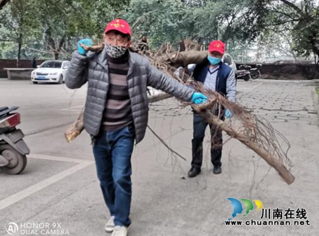 納溪區(qū)行政審批局：愛(ài)國(guó)衛(wèi)生運(yùn)動(dòng)“周末大掃除”活動(dòng)(圖2)