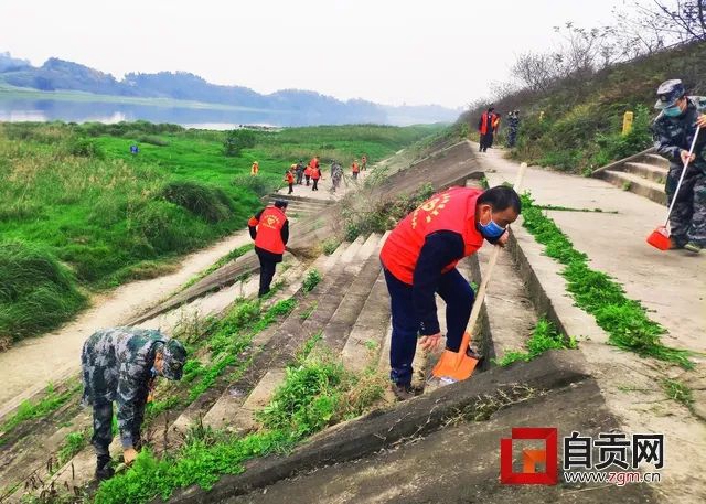 整得扎實！這周末，10萬自貢人干了一件美麗的事(圖8)