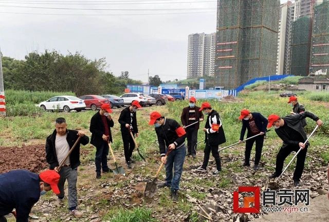 整得扎實！這周末，10萬自貢人干了一件美麗的事(圖12)