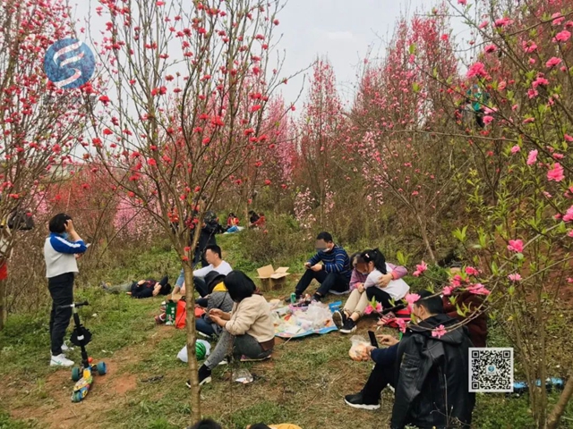 看桃花致富順板橋收費(fèi)站關(guān)閉，疫情尚未解除，別扎堆！(圖4)