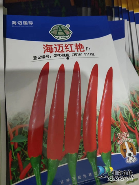 瀘縣云龍鎮(zhèn)：蔬果聯(lián)姻促融合，多點開花促增收(圖11)