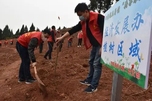 目標(biāo)定了！今年，內(nèi)江市人均兩人義務(wù)栽一棵樹(圖4)