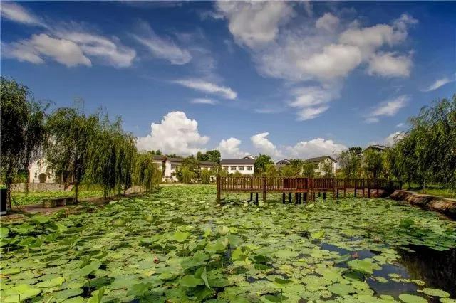 陽光明媚好踏春！內(nèi)江這些地方有花有景有美食(圖1)